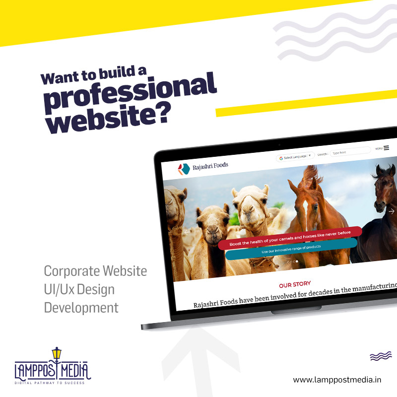 Website Design and Development